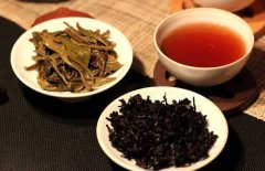 普洱属于什么茶类，是发酵茶类