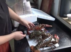 大龙虾多少钱一斤，正常在200-300元