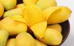 女人为什么不能吃芒果，没有这个说法过敏血糖高不能吃