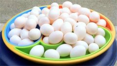吃鸽子蛋的五大禁忌 鸽子蛋适合什么人吃